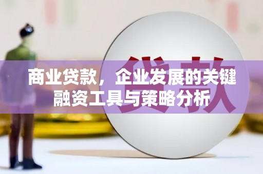 彭泽商业贷款，企业发展的关键融资工具与策略分析