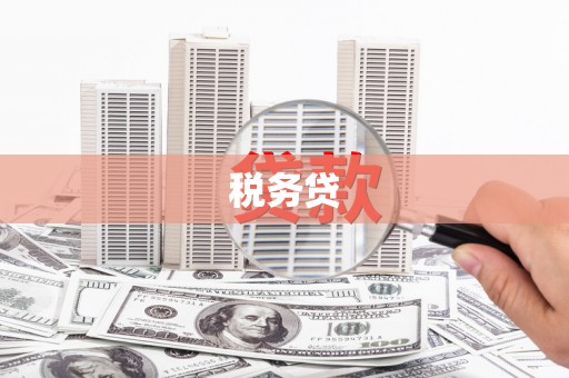 彭泽税务贷