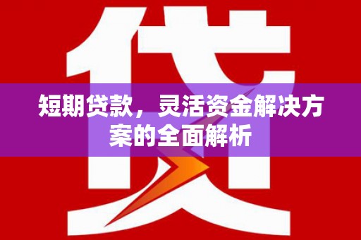 彭泽短期贷款，灵活资金解决方案的全面解析