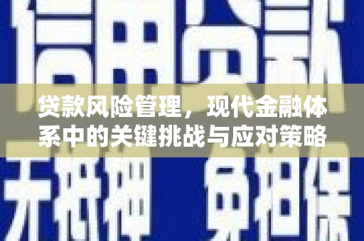 彭泽贷款风险管理，现代金融体系中的关键挑战与应对策略