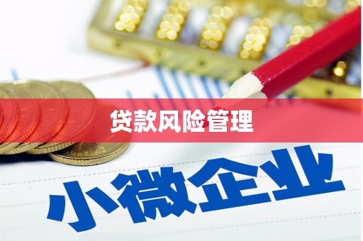 彭泽贷款风险管理