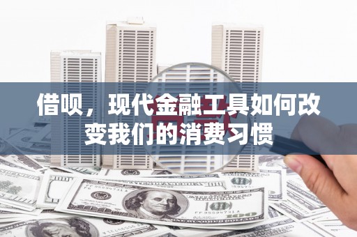 彭泽借呗，现代金融工具如何改变我们的消费习惯