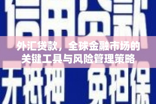 彭泽外汇贷款，全球金融市场的关键工具与风险管理策略
