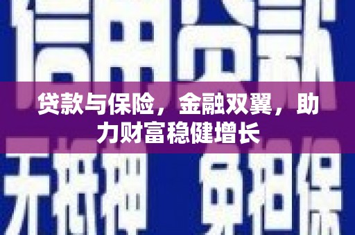 彭泽贷款与保险，金融双翼，助力财富稳健增长