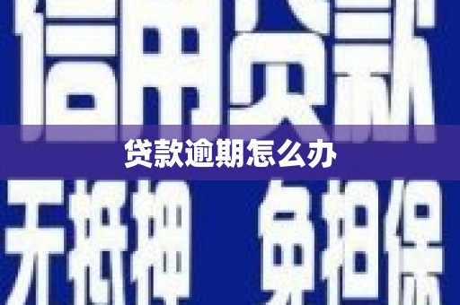 彭泽贷款逾期怎么办