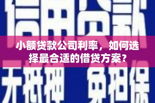 彭泽小额贷款公司利率，如何选择最合适的借贷方案？