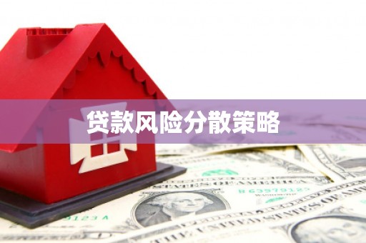 彭泽贷款风险分散策略