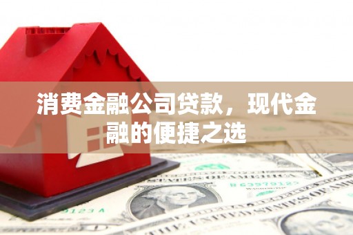 彭泽消费金融公司贷款，现代金融的便捷之选