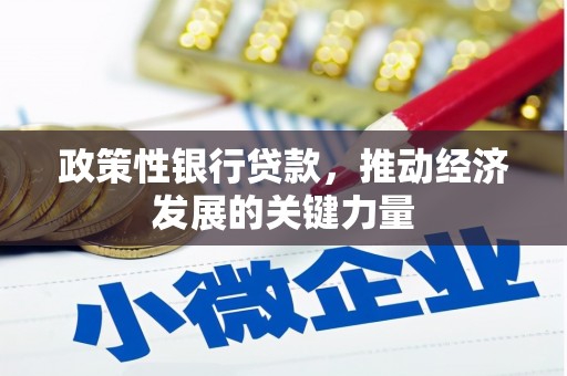 彭泽政策性银行贷款，推动经济发展的关键力量