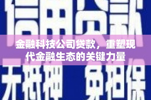 彭泽金融科技公司贷款，重塑现代金融生态的关键力量