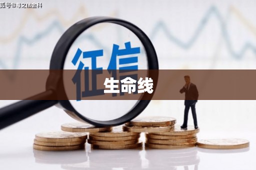 彭泽生命线