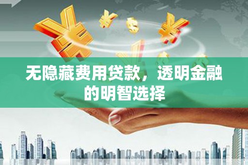 彭泽无隐藏费用贷款，透明金融的明智选择