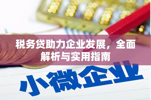彭泽税务贷助力企业发展，全面解析与实用指南