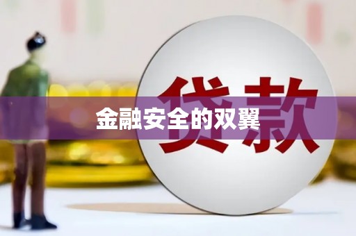 彭泽金融安全的双翼