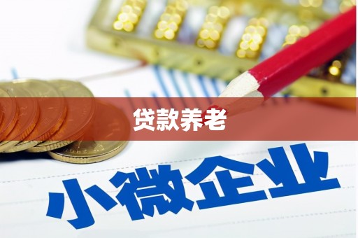 彭泽贷款养老