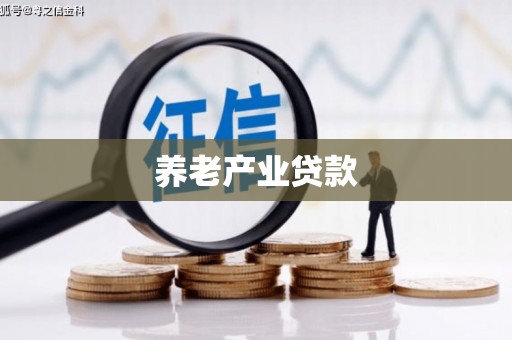 彭泽养老产业贷款