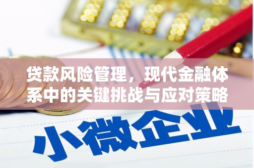 彭泽贷款风险管理，现代金融体系中的关键挑战与应对策略