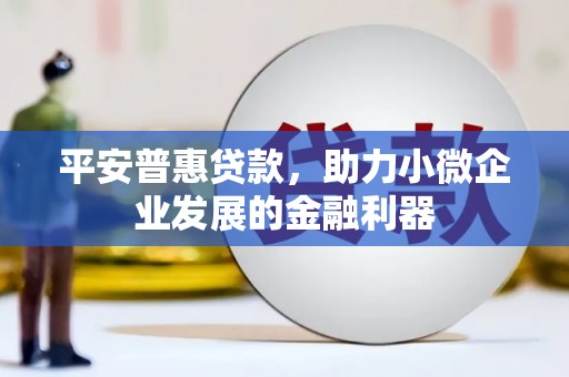 彭泽平安普惠贷款，助力小微企业发展的金融利器