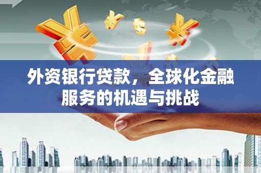 彭泽外资银行贷款，全球化金融服务的机遇与挑战