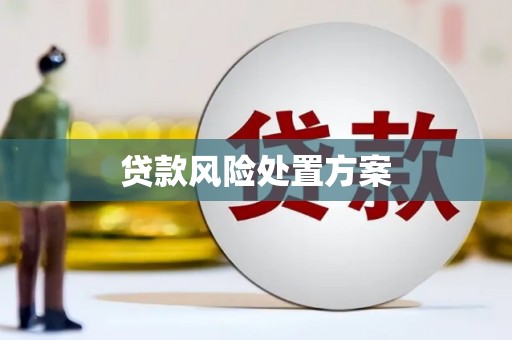 彭泽贷款风险处置方案