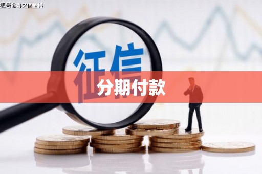 彭泽分期付款