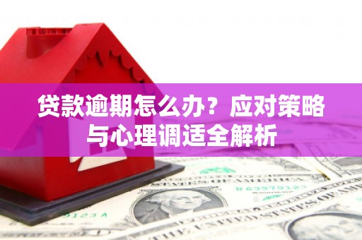彭泽贷款逾期怎么办？应对策略与心理调适全解析