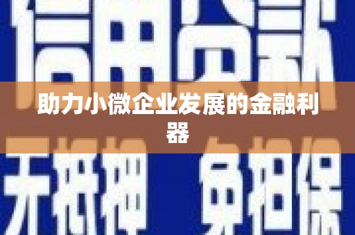 彭泽助力小微企业发展的金融利器