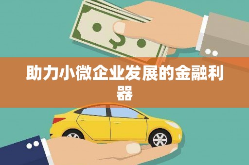 彭泽助力小微企业发展的金融利器