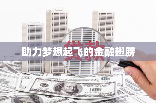 彭泽助力梦想起飞的金融翅膀