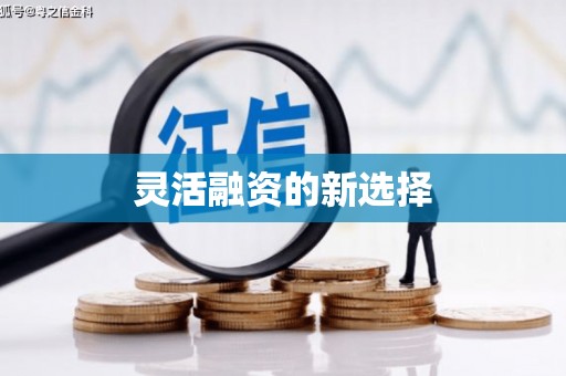 彭泽灵活融资的新选择