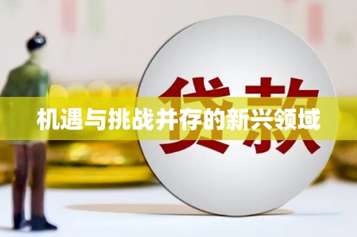 彭泽机遇与挑战并存的新兴领域