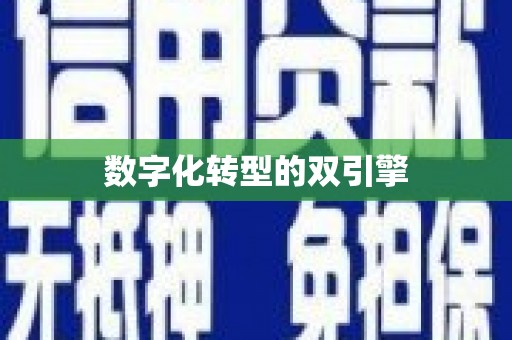 彭泽数字化转型的双引擎
