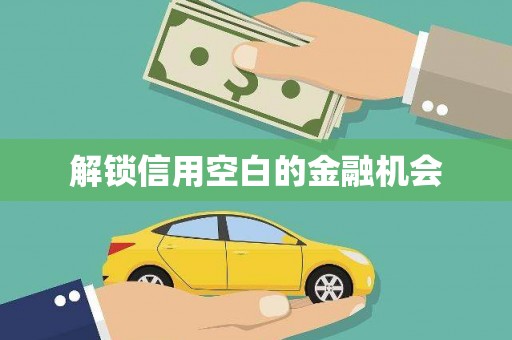 彭泽解锁信用空白的金融机会