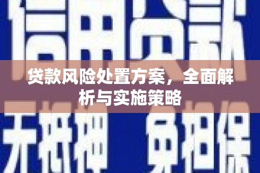 彭泽贷款风险处置方案，全面解析与实施策略