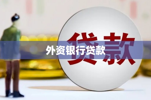 彭泽外资银行贷款