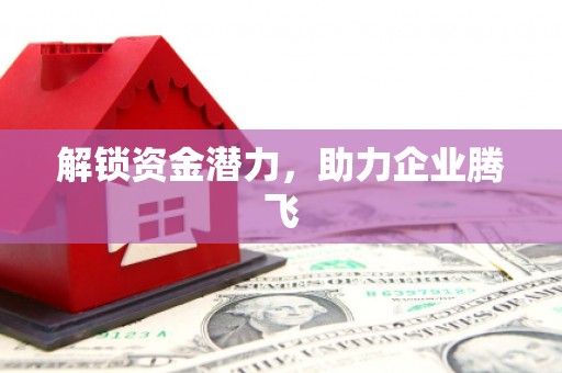 彭泽解锁资金潜力，助力企业腾飞