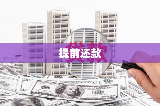 彭泽提前还款