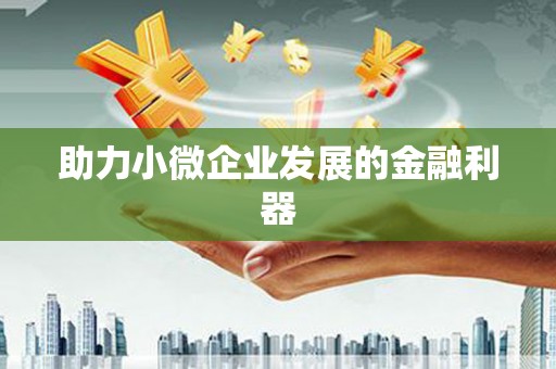 彭泽助力小微企业发展的金融利器