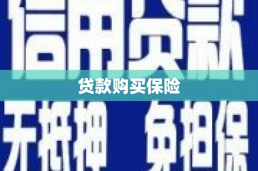 彭泽贷款购买保险