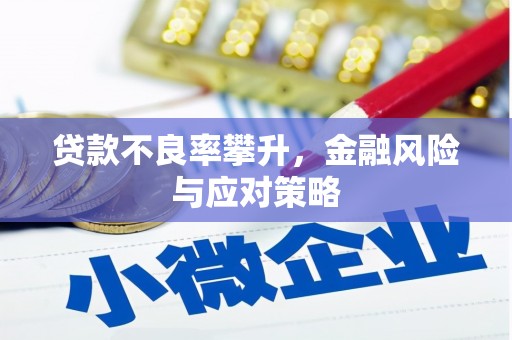 彭泽贷款不良率攀升，金融风险与应对策略
