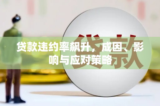 彭泽贷款违约率飙升，成因、影响与应对策略